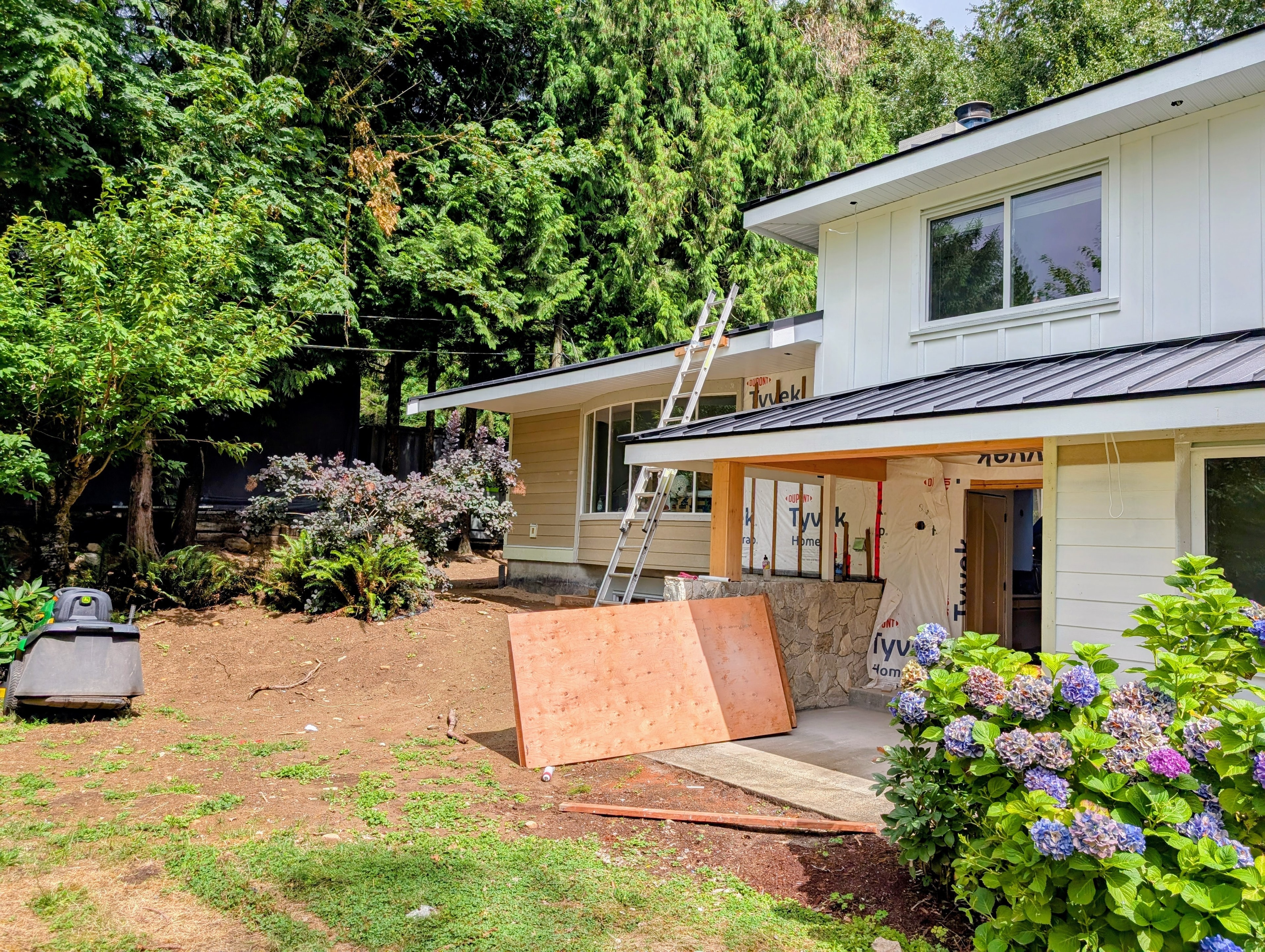 White two-storey home renovation with dark standing seam roof and hydrangeas