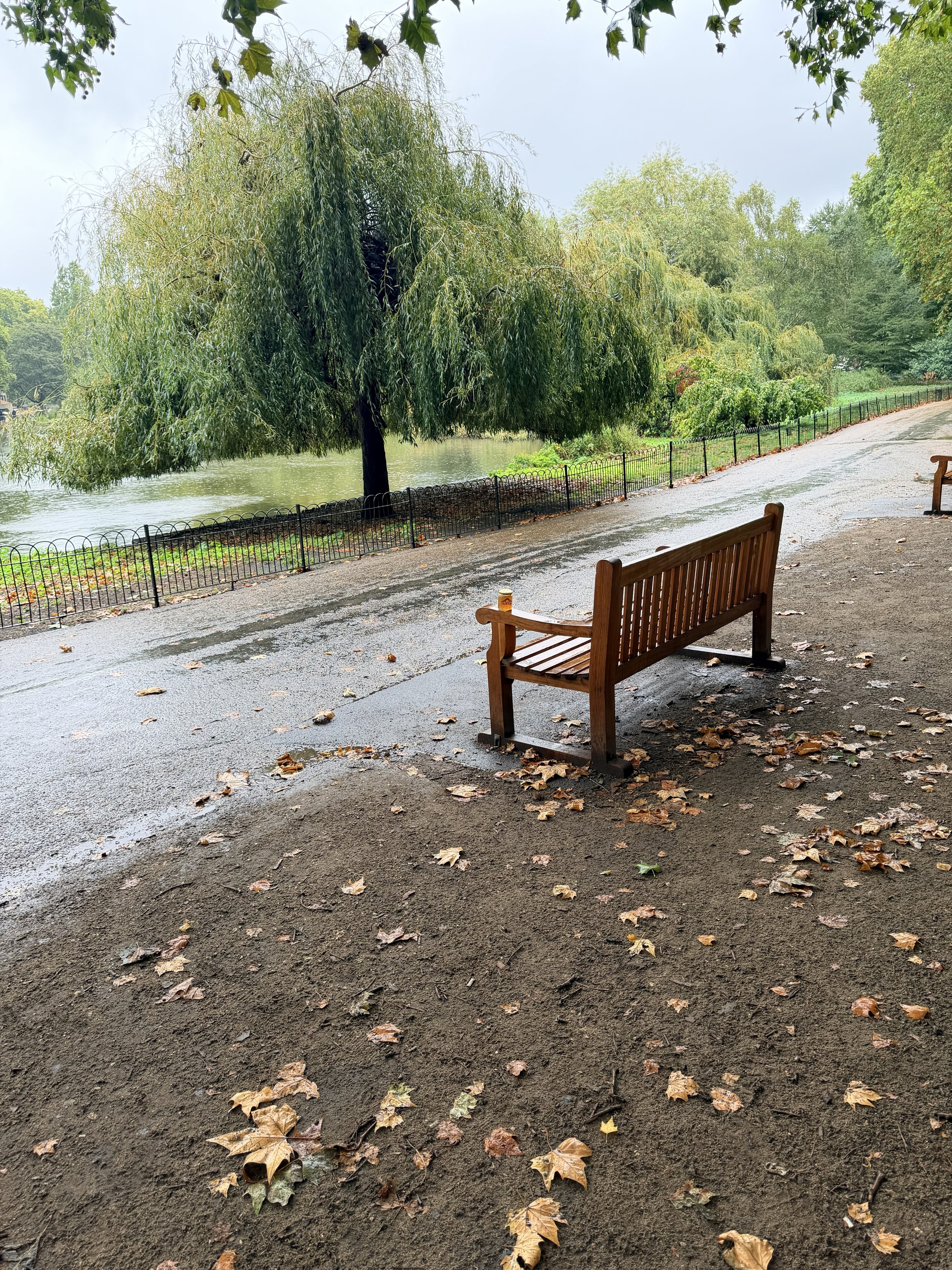 OneKEpp honey jar on a rainy park bench beside a lake in London